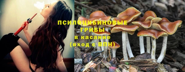 синтетический гашиш Баксан
