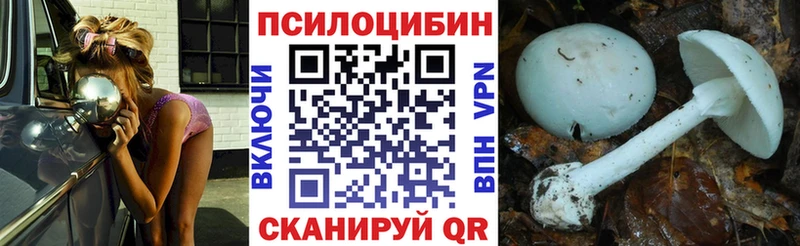 MEGA ссылки  закладка  Мичуринск  Галлюциногенные грибы MAGIC MUSHROOMS 